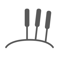 png.png